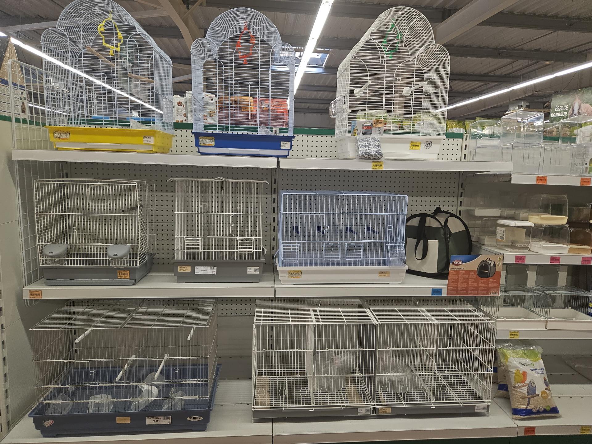Rayon oiseaux GKO