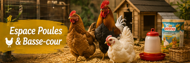 Espace Poules & Basse-cour