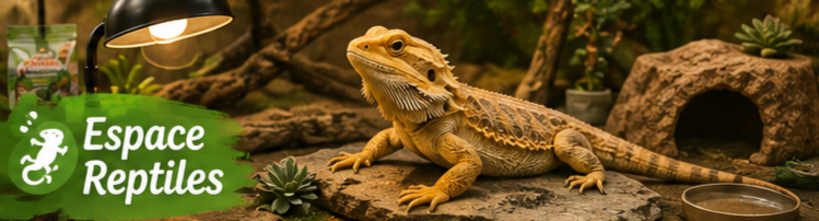 Espace Reptiles